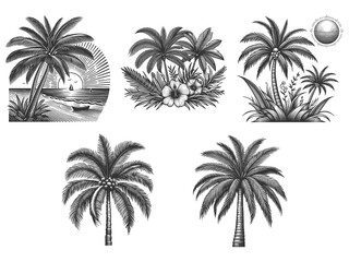Naklejka premium palm tree Set collection bundle sketch engraving generative ai raster illustration. Scratch board imitation. Black and white image.