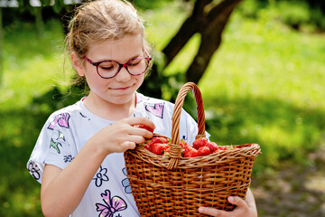 Happy little school girl holding a big basket full of ripe, sweet strawberries. Real life, real people moment of childhood joy and summer fun outdoors in nature.