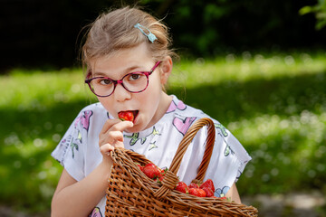Happy little school girl holding a big basket full of ripe, sweet strawberries. Real life, real people moment of childhood joy and summer fun outdoors in nature.
