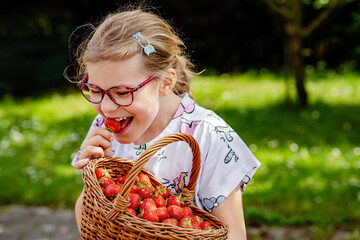 Happy little school girl holding a big basket full of ripe, sweet strawberries. Real life, real people moment of childhood joy and summer fun outdoors in nature.