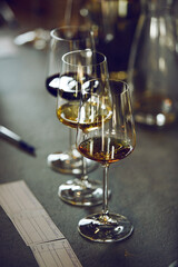 Wine tasting preparation. Various wines in glasses without name. Blind degustation.