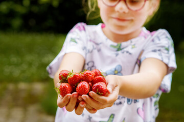 Close-up of a girl holding ripe, sweet strawberries in her hand. Real life, real people moment of childhood joy, summer harvest, and outdoor fun in nature