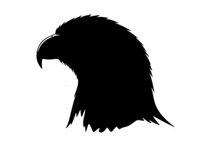 Eagle in silhouette on white background side.
