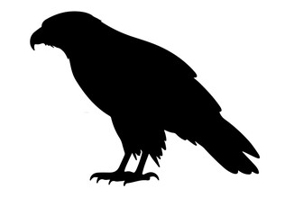 Eagle silhouette vector.