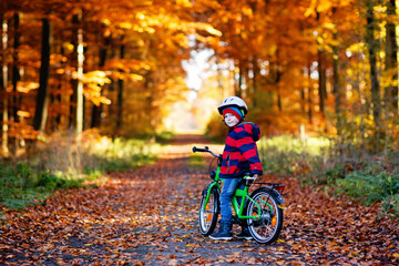 Little kid boy in colorful warm clothes in autumn forest park driving a bicycle