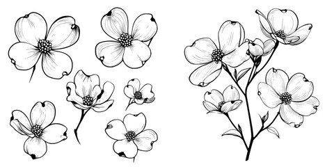 Modern illustrations feature dogwood flowers in a simple outline style that can be colored as desired