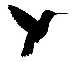 Vector image of Hummingbird silhouette on white background side view.