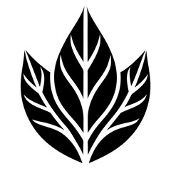Fototapeta premium Black leaf design isolated on white background