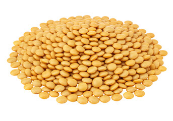 Isolated Pile of Dried Yellow Lentils