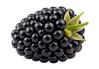 Isolated Fresh and Juicy Blackberry Close-up