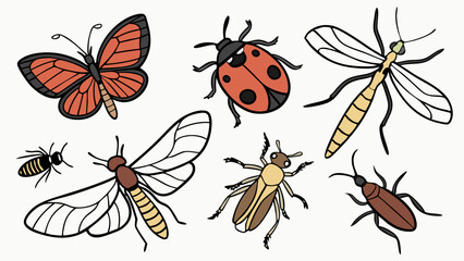Simple colorful illustration set of various common insects and bugs butterfly ladybug bee beetle isolated on white vector