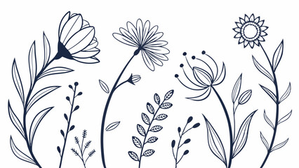 Hand drawn line art floral elements set simple botanical illustration sketch leaves flowers branches delicate elegant nature garden plant drawing collection outline doodle style