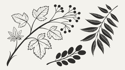 Hand drawn botanical illustration set branches leaves berries sketch black white nature design elements