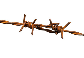 Isolated Piece of Rusty Barbed Wire