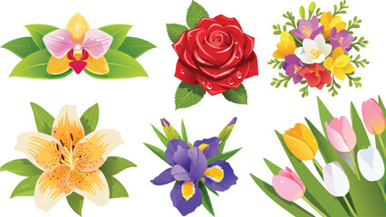 Set of six beautiful flowers - Orchid, Rose, Freesia, Lilium, Iris, Tulip