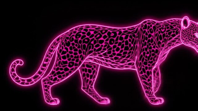 neon leopard on black background. Bright pink color, artistic digital art, fantasy animal, leopard print. 4k video