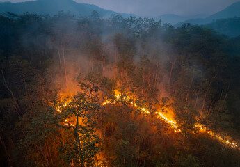 Wildfires release carbon dioxide (CO2) emissions and other greenhouse gases (GHG) that contribute...