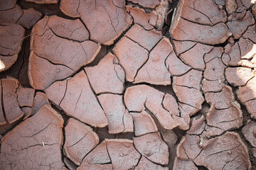 Cracked earth reveals dryness in arid landscape under bright sunlight during mid-day hours