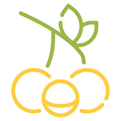 Matoa Fruit Vector Illustration