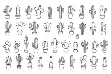 Set of hand drawn cacti. Exotic prickly plants in doodle style. Vector line art illustration. Vector 