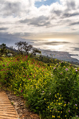 Paisaje en la Corujera, Isla de Tenerife.