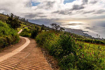 Paisaje en la Corujera, Isla de Tenerife.