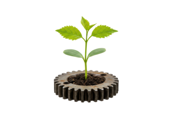 Isolated Sprout Growing in Gear Symbolizing Sustainable Industry