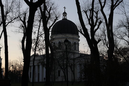 The silhouette of the cathedral and bare trees.