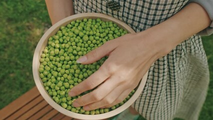 A closeup view of hands gently holding a bowl filled with freshly harvested green peas in a beautiful garden setting