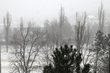 Snowfall in the city.