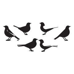 Obraz premium Collection of six bird silhouettes black and white