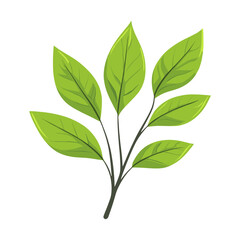 Green wavy tropical leaves leaf illustration plant vector