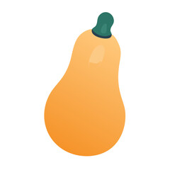 Simple Butternut Squash Vector for Autumn Harvest and Healthy Cooking