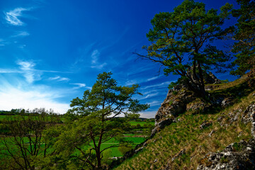 a beautiful day in the ancient town of Dollnstein