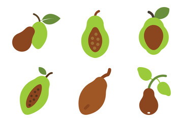 Obraz premium Collection of flat style American pawpaw fruits illustrations