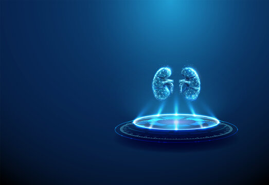 Human kidneys on futuristic podium. Nephrology, kidney disease diagnostics, renal treatment, artificial organ technology concept.