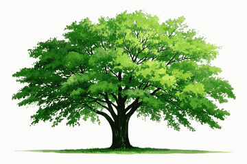 Towering Presence Big tree isolated watercolor vector illustration svg