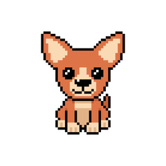 Pixel art cute chihuahua dog vector in retro style