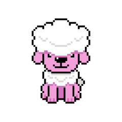 Pixel art cute poodle dog vector in retro style