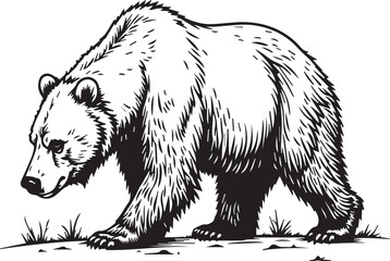 Wild Grizzly Bear on the Move: A detailed, striking illustration of a powerful grizzly bear, captured mid-stride, embodying strength and the untamed spirit of the wilderness.