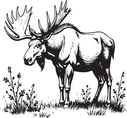 Majestic Moose in the Wilderness: An imposing illustration of a bull moose, showcasing its impressive antlers as it stands amidst a natural, grassy setting. 