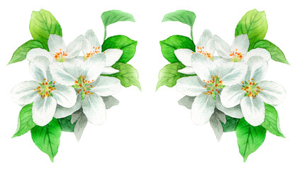 水彩で描いたりんごの花のフレーム素材