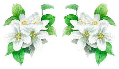 水彩で描いたりんごの花のフレーム素材