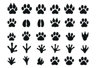Big set with animals footprint in black color. Paw trace in different shape. Vector illustration