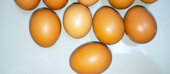 eggs on a white background