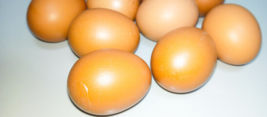 eggs on a white background