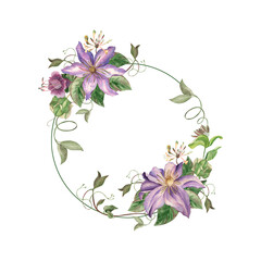A round frame with summer garden weaving flowers in purple, lilac shades. Clematis, cobea, ivy, liana, leaves are hand-drawn in watercolor in a botanical style. For card, invitation, wedding, holiday