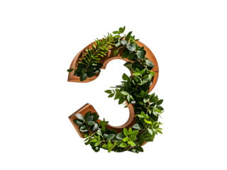Wooden Number Three Adorned with Lush Green Foliage Isolated on White Background High Resolution 4k Stock Photo Image Download isolated on a transparent background