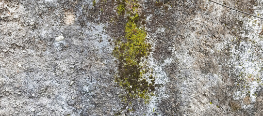 stone wall texture