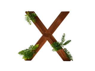 Wooden Number X Decorated with Green Fern Sprigs on White Background isolated on a transparent background